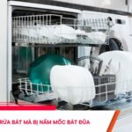 Dùng máy rửa bát mà bị nấm mốc bát đũa